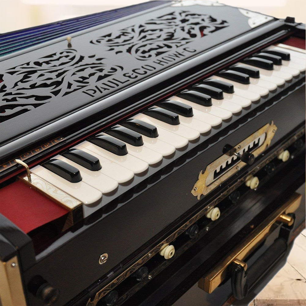 Binas Professional Harmonium | 9/3 Scale Changer Model with Gig Bag Hand Pumped
