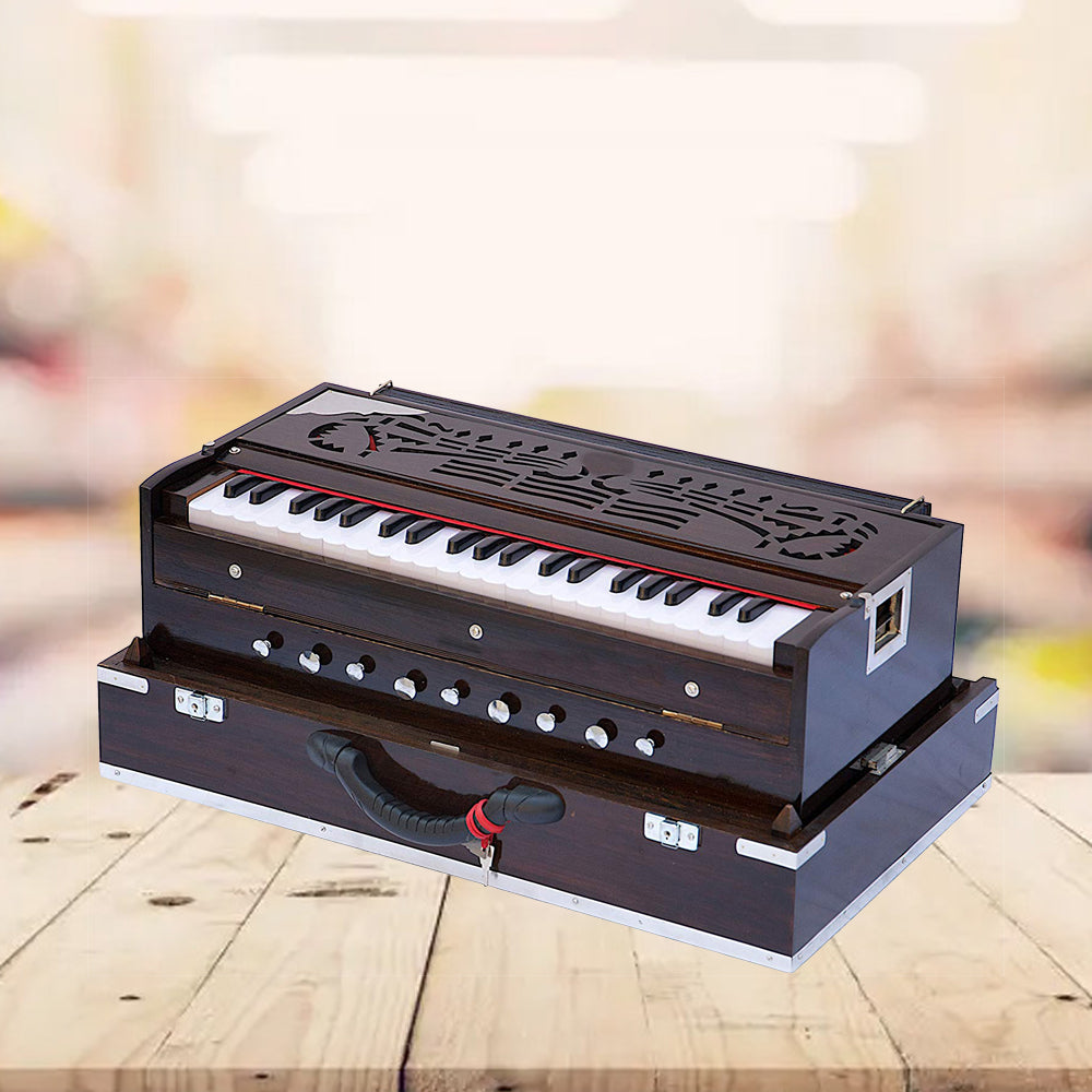 Binas Professional Harmonium | 9/3 Scale Changer Model with Gig Bag Hand Pumped