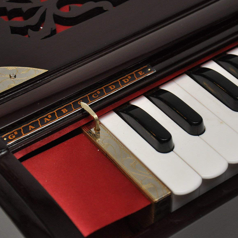Binas Professional Harmonium | 9/3 Scale Changer Model with Gig Bag Hand Pumped