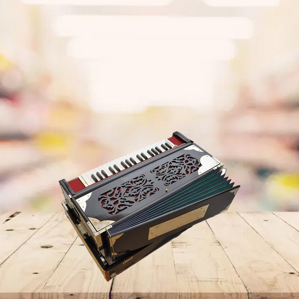 Binas Professional Harmonium | 9/3 Scale Changer Model with Gig Bag Hand Pumped