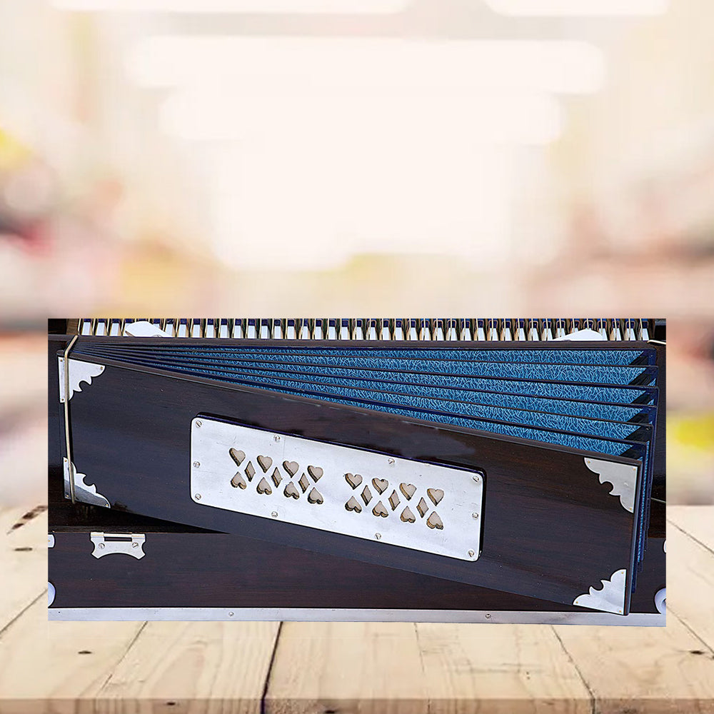 Binas Professional Harmonium | 9/3 Scale Changer Model with Gig Bag Hand Pumped