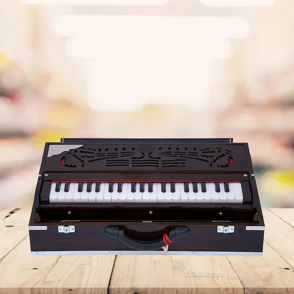 Binas Professional Harmonium | 9/3 Scale Changer Model with Gig Bag Hand Pumped